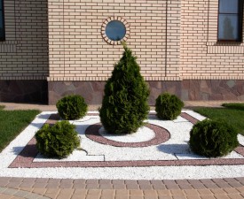 IMG_0125